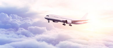 青島優質空乘學校及票務代理服務推薦